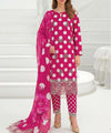 Pink Embroidered 3Piece Suit Full View