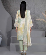 Sage Green Embroidered Unstitched Suit Back Design